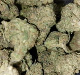 That o.b.g. review photo
