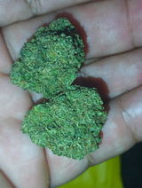 Brandon H. review photo