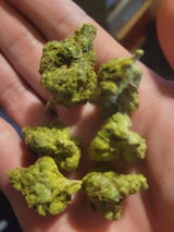 StankyDanky1 review photo