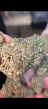 Smokie review photo