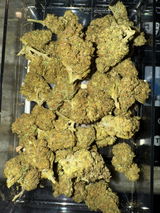 J. review photo