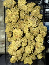 J. review photo