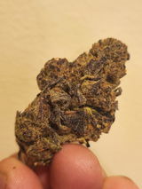 Joseph D. review photo