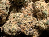 Tofiy review photo