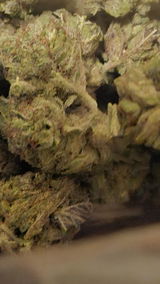 That o.b.g. review photo