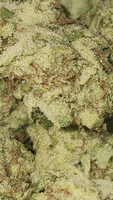 That o.b.g. review photo
