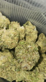 That o.b.g. review photo