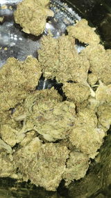 That o.b.g. review photo