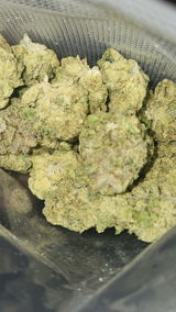 That o.b.g. review photo
