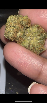 Anonymous review photo