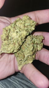 That o.b.g. review photo