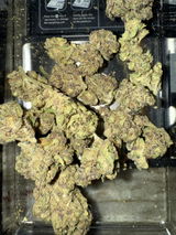 J. review photo