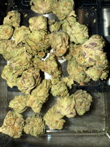J. review photo