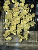J. review photo