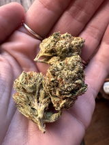granny G. review photo