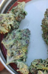 That o.b.g. review photo