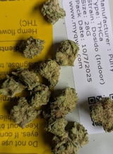 That o.b.g. review photo