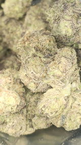 That o.b.g. review photo