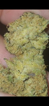 That o.b.g. review photo