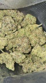 That o.b.g. review photo
