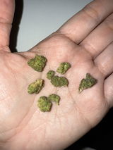 Anonymous review photo