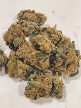 Jacob H. review photo