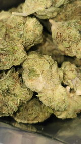 That o.b.g. review photo