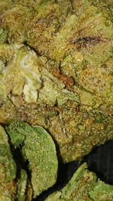 Chainsaw R. review photo