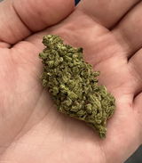 BRANDON H. review photo