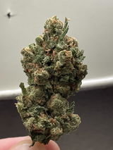 zachedelic review photo
