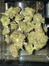 J. review photo