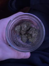 Jose review photo