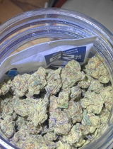 Jose review photo