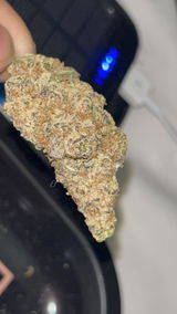 Sage M. review photo