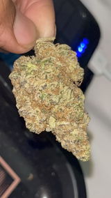 Sage M. review photo