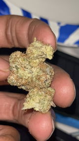 Sage M. review photo