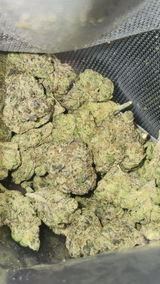 That o.b.g. review photo