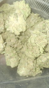 That o.b.g. review photo