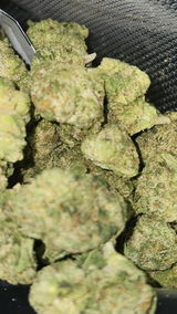 That o.b.g. review photo