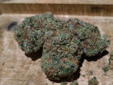 James C. review photo