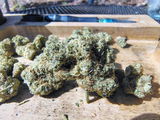 James C. review photo