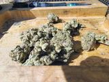 James C. review photo