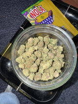 Anon review photo