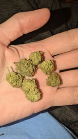 CH review photo