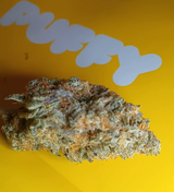 Chronic B. review photo