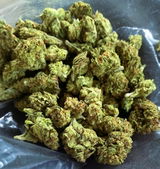 Chronic B. review photo