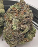 Chronic B. review photo