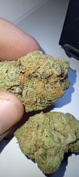 Chronic B. review photo