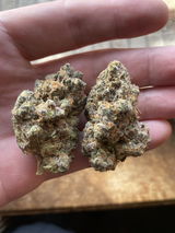 J review photo