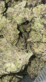 That o.b.g. review photo